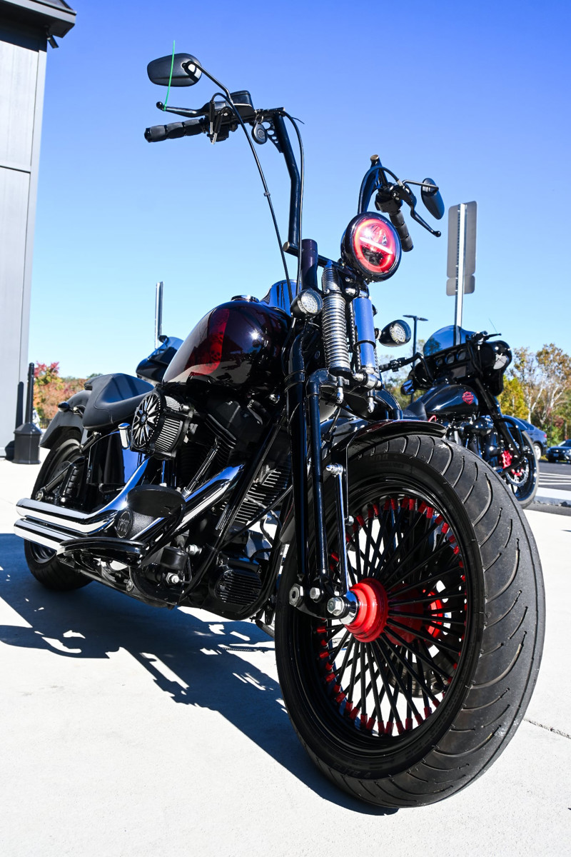 Softail® Cross Bones®