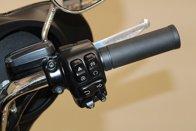 Electra Glide® Police