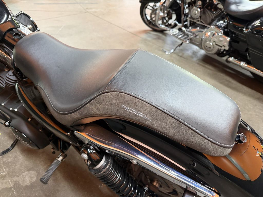 Sportster® Forty-Eight®