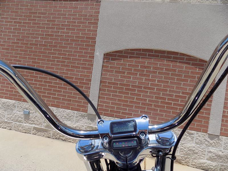 Softail® Standard