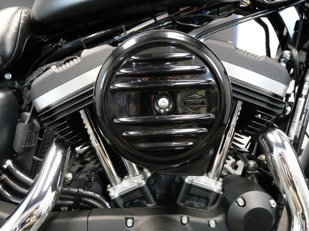 Sportster® Iron 883®