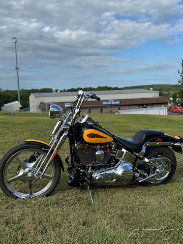 Softail® Springer® 