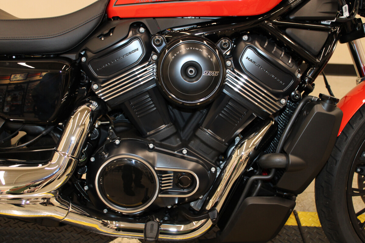 Nightster