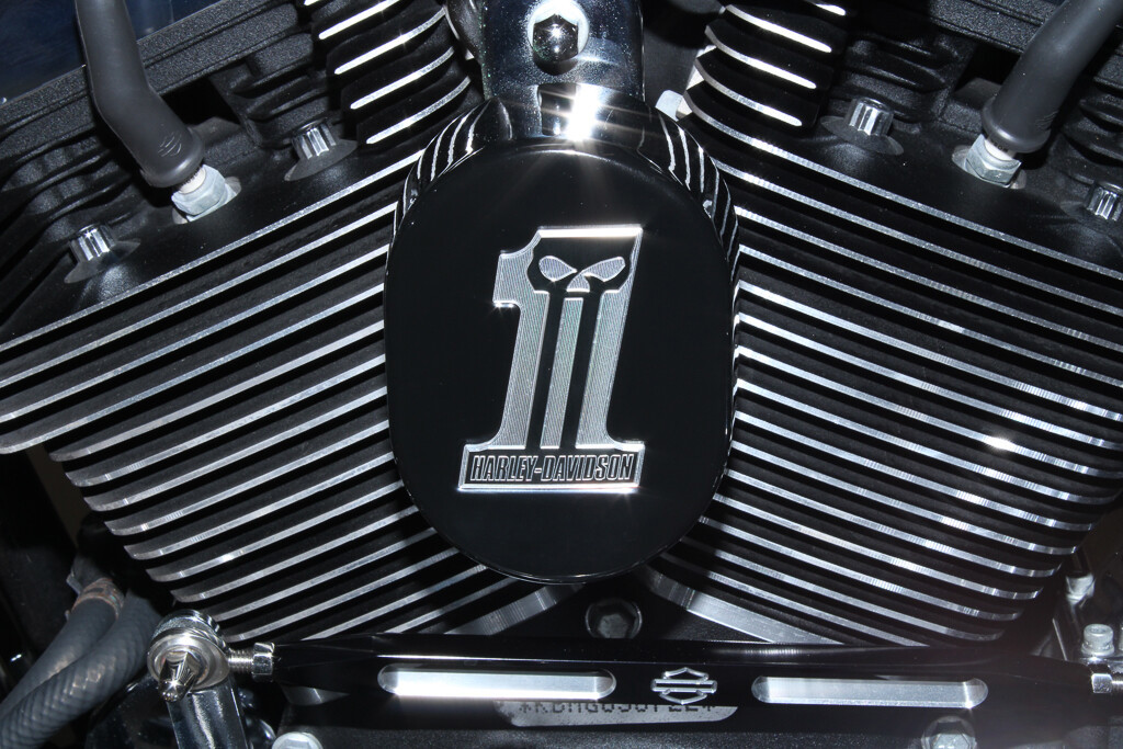 Street Glide® Special