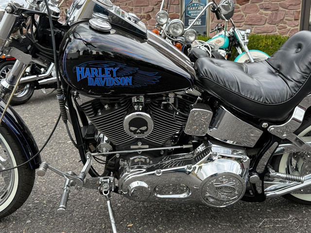 Softail® Custom
