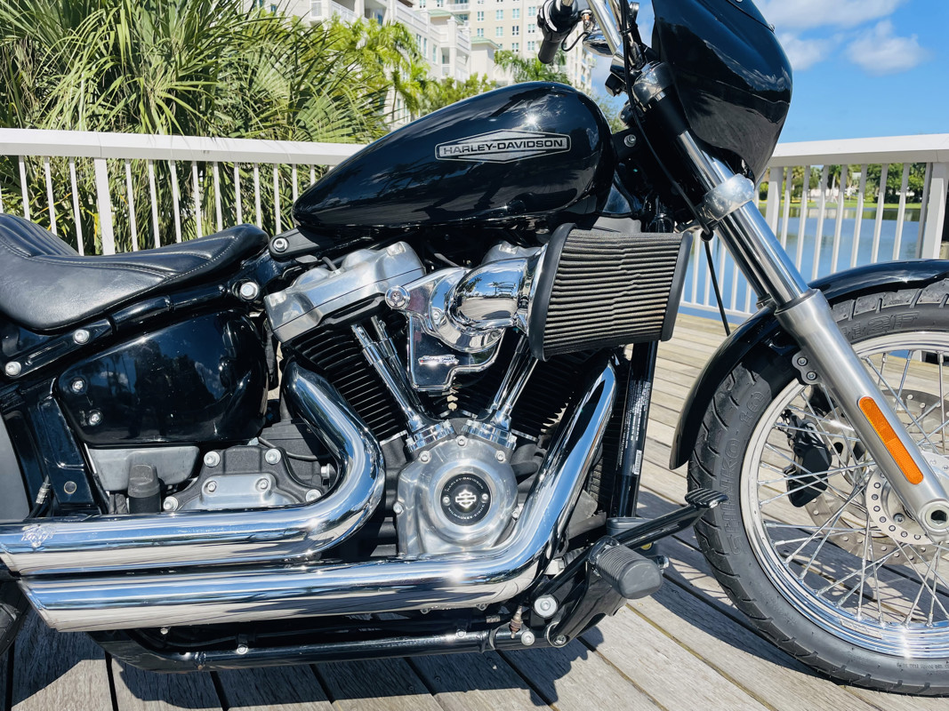 Softail® Standard