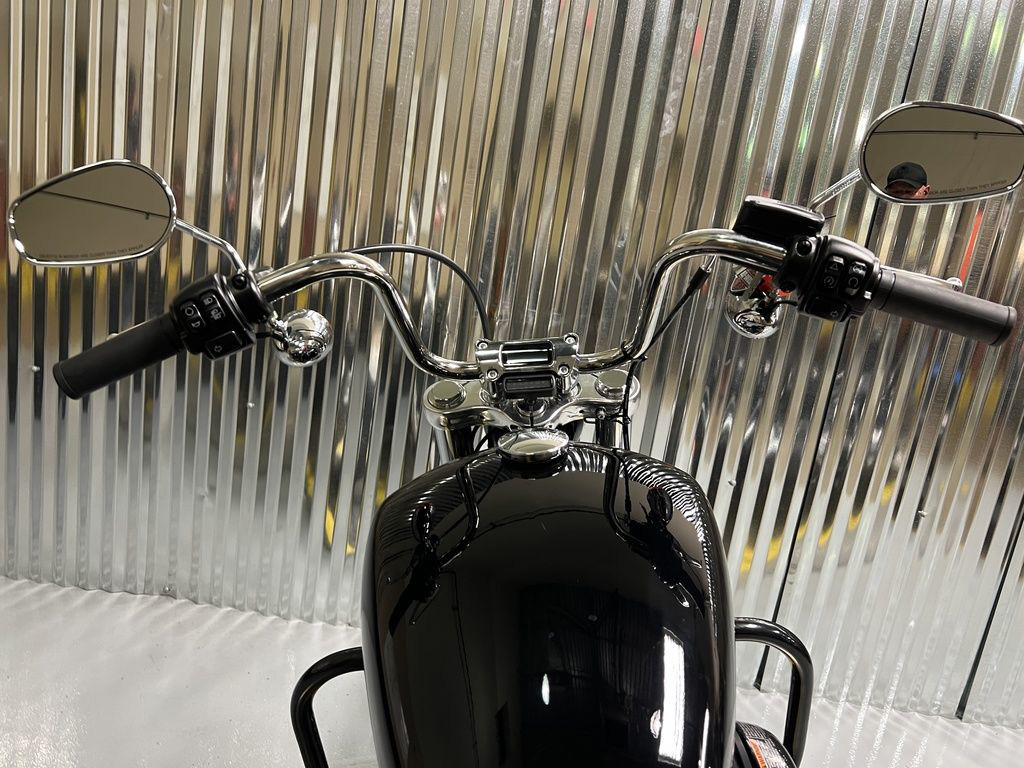 Softail® Standard