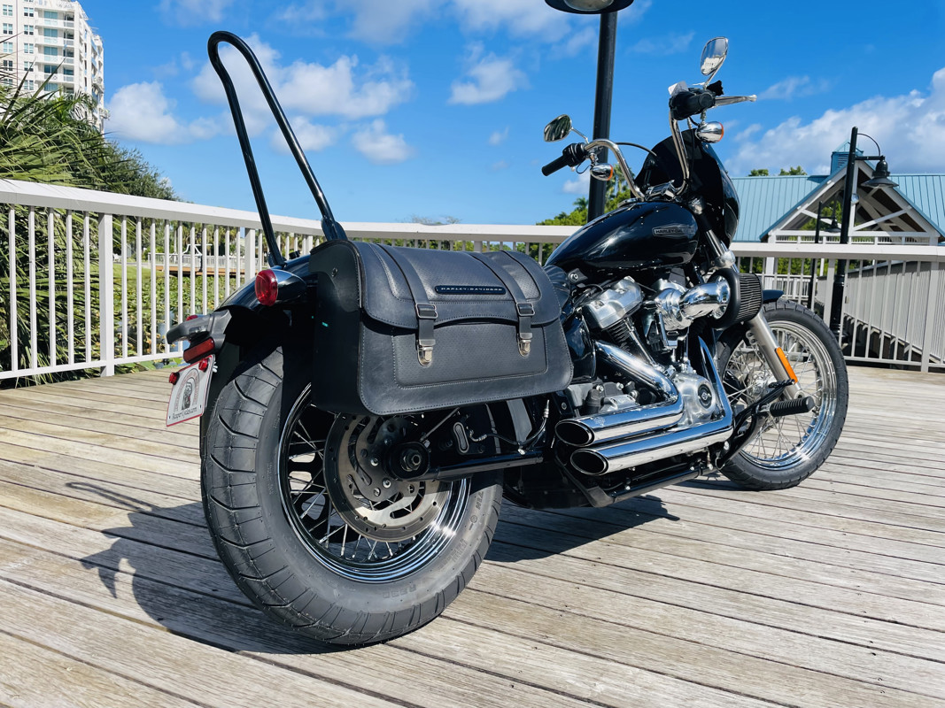 Softail® Standard