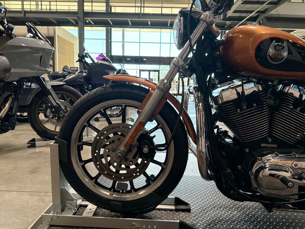 Sportster® 1200 Low Anniversary