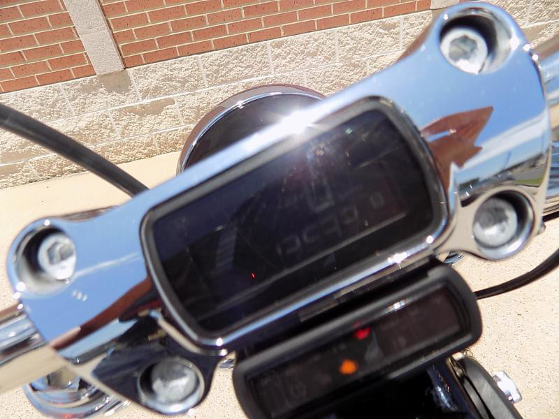 Softail® Standard