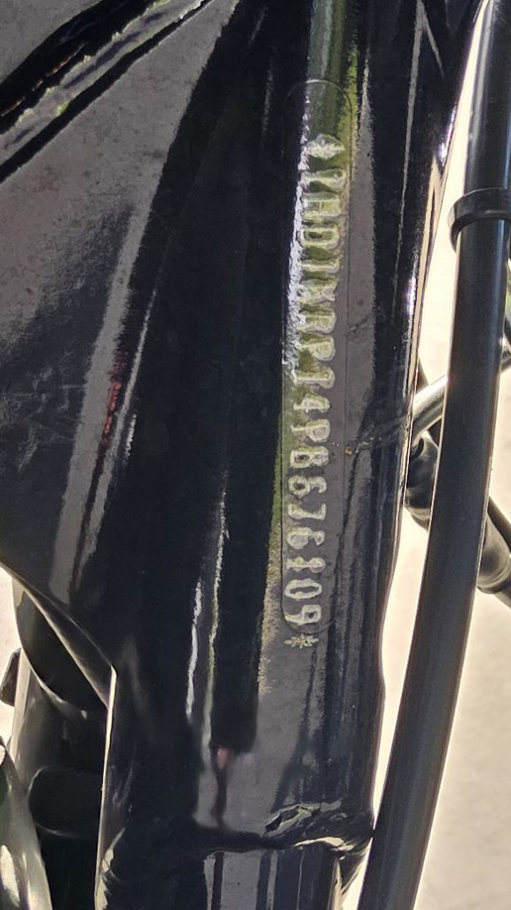 Street Glide® Special