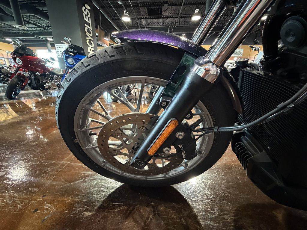 Nightster