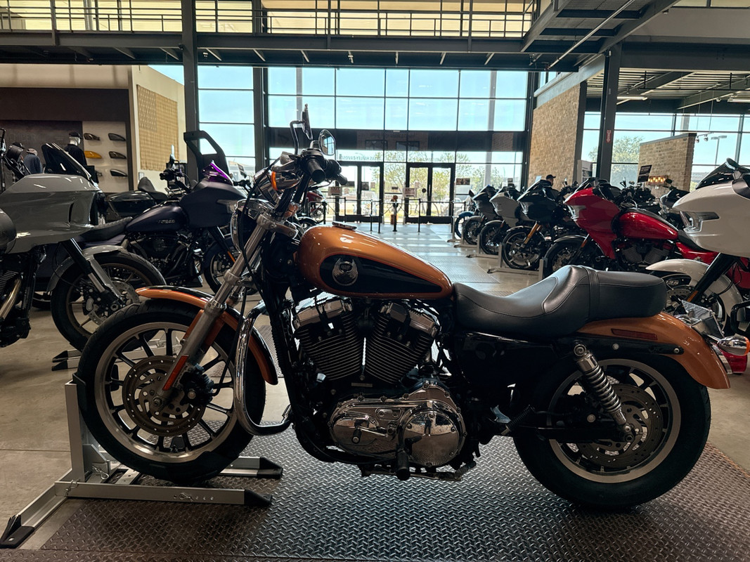 Sportster® 1200 Low Anniversary
