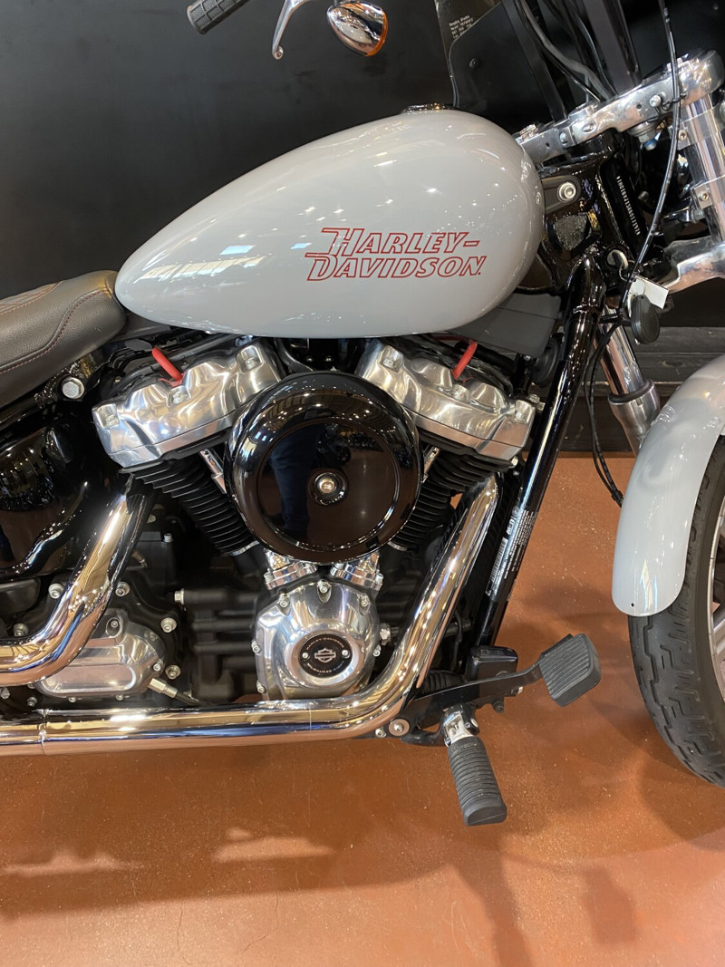 Softail® Standard