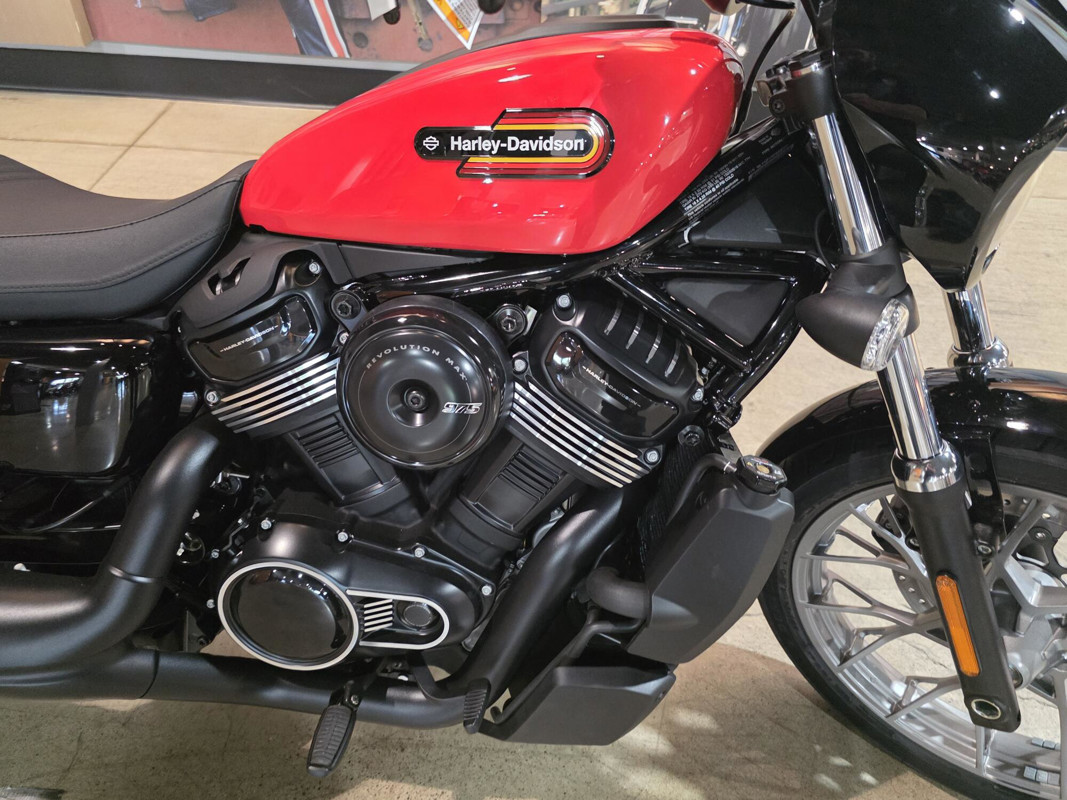 Nightster Special