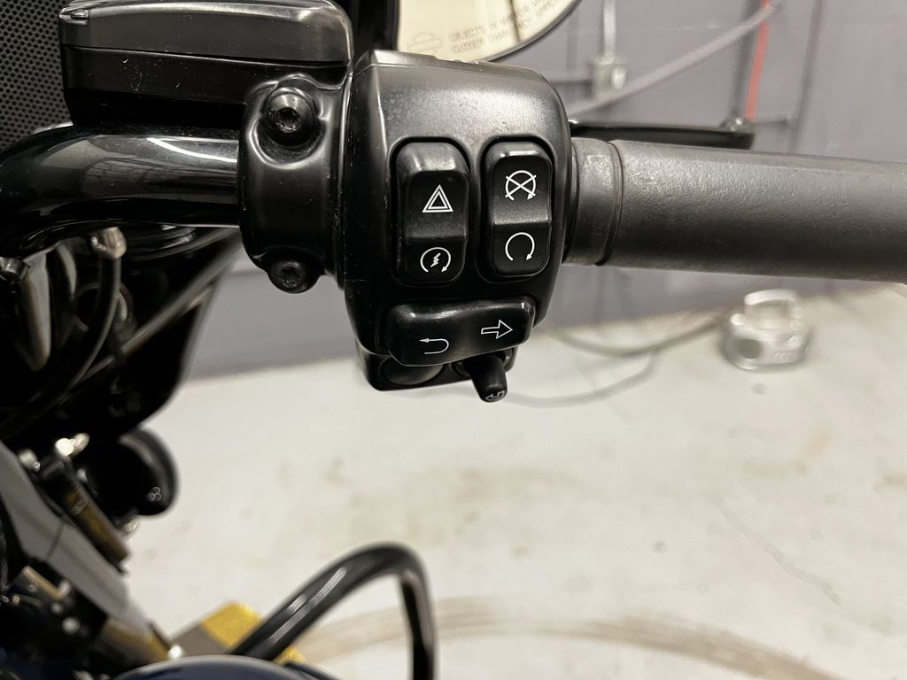 Street Glide® Special