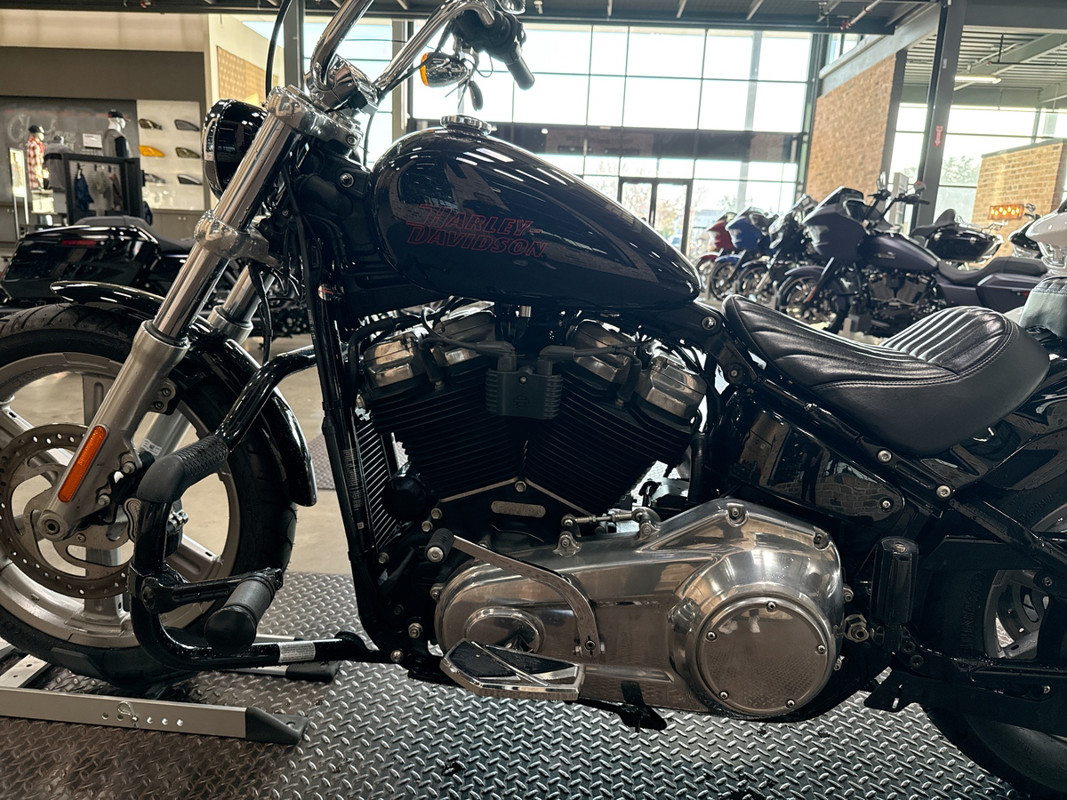 Softail® Standard