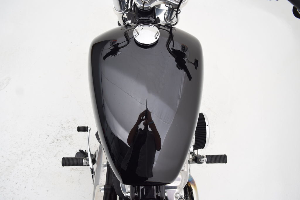 Softail® Standard