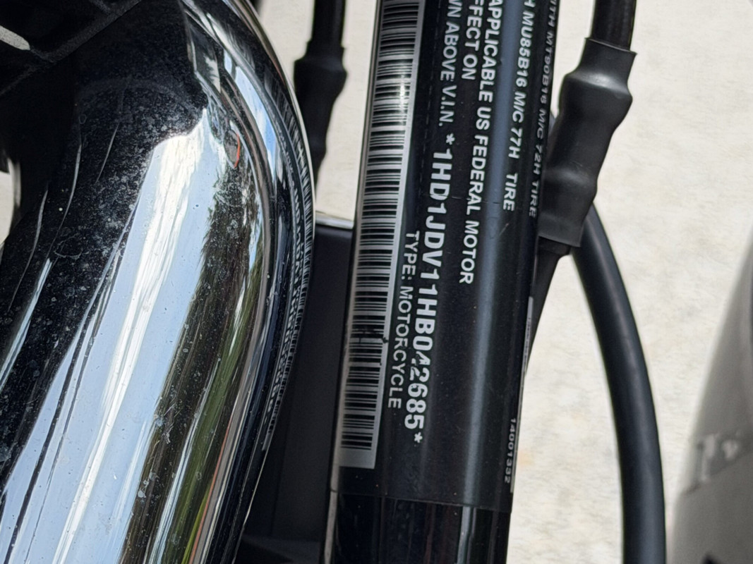 Softail® Deluxe