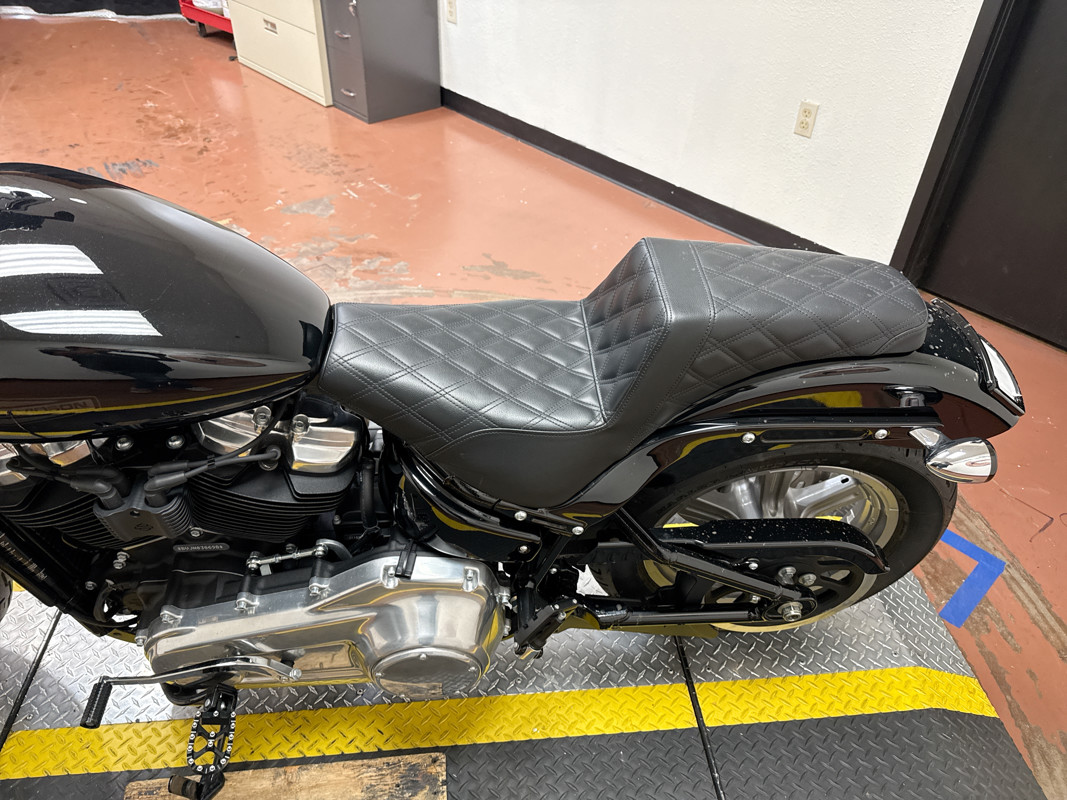 Softail® Standard