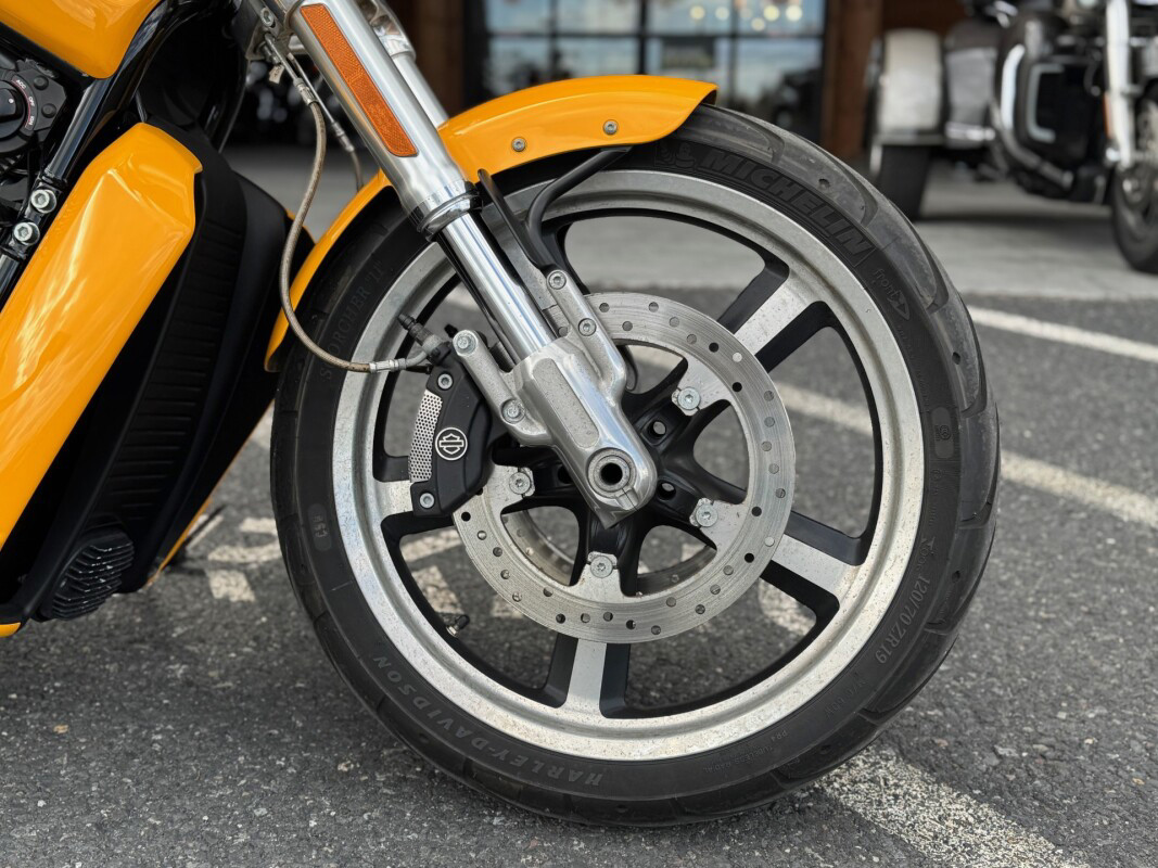 V-Rod® Muscle®