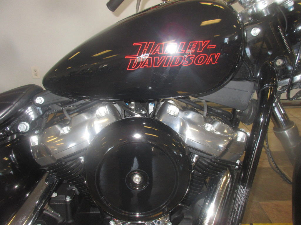 Softail® Standard