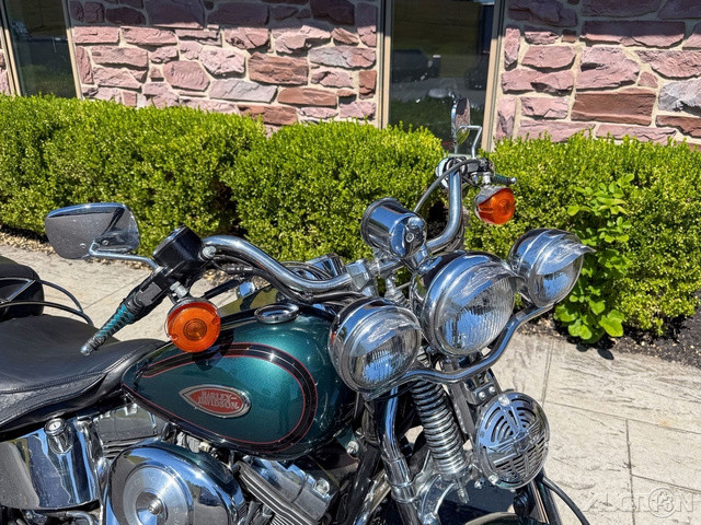 Softail® Springer® 
