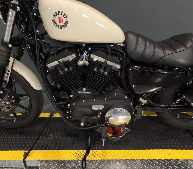 Iron 883®