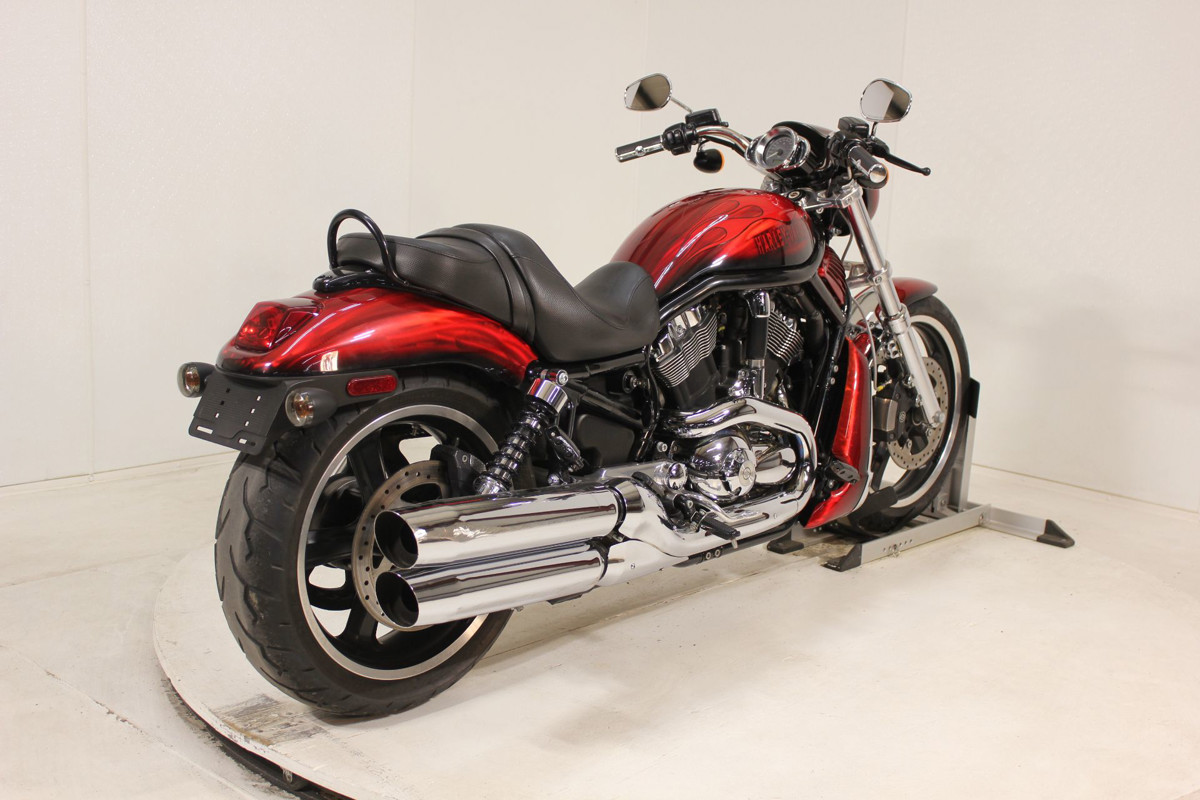 V-Rod® Night Rod®