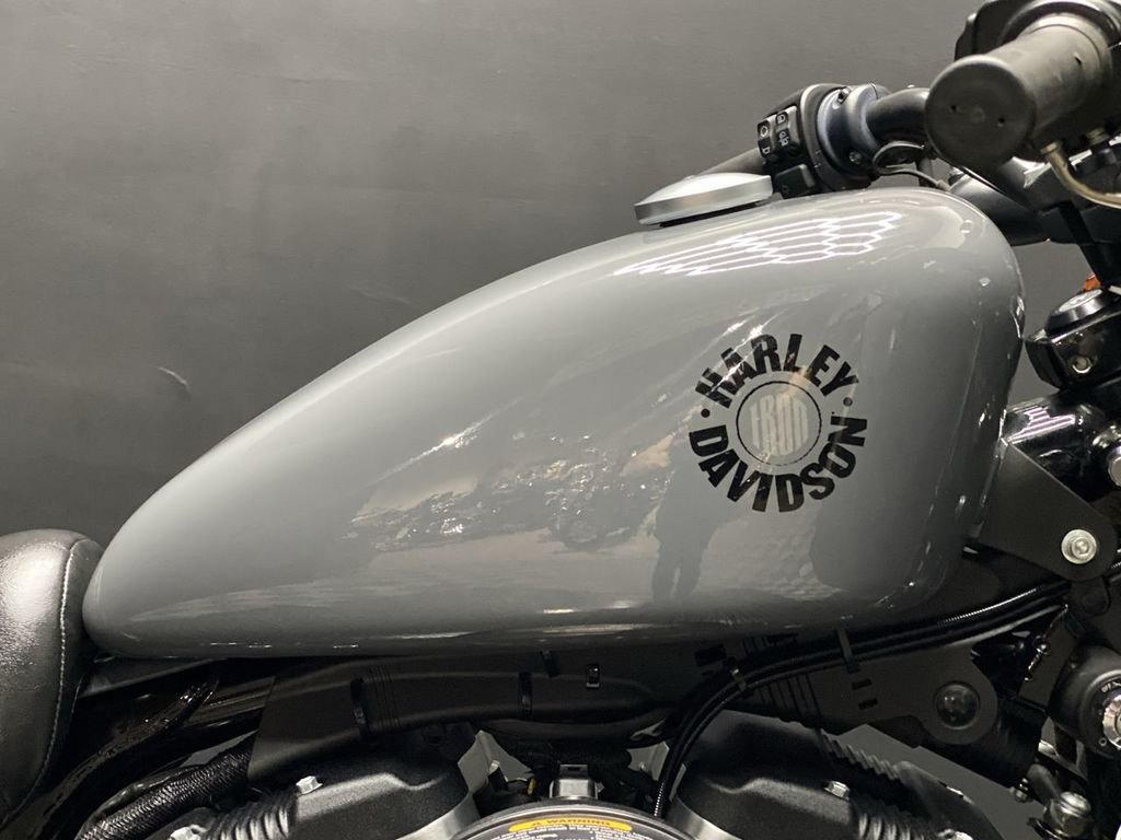 Iron 883®