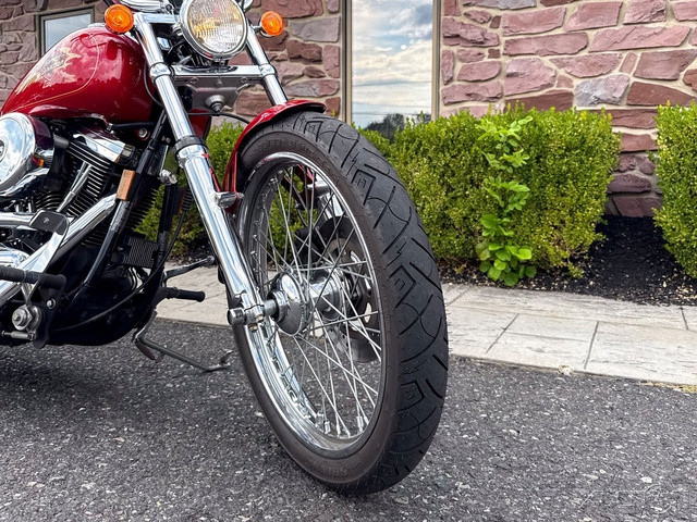 Softail® Custom