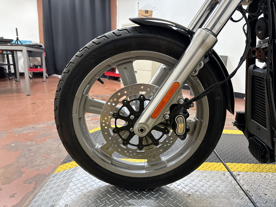 Softail® Standard
