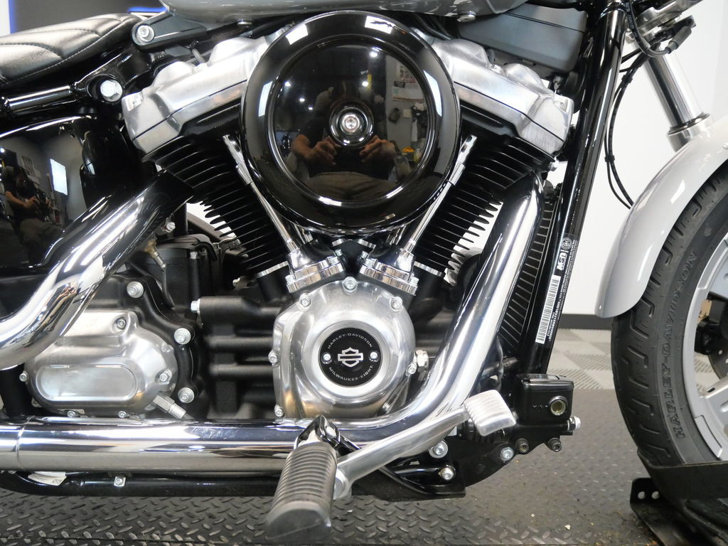 Softail® Standard