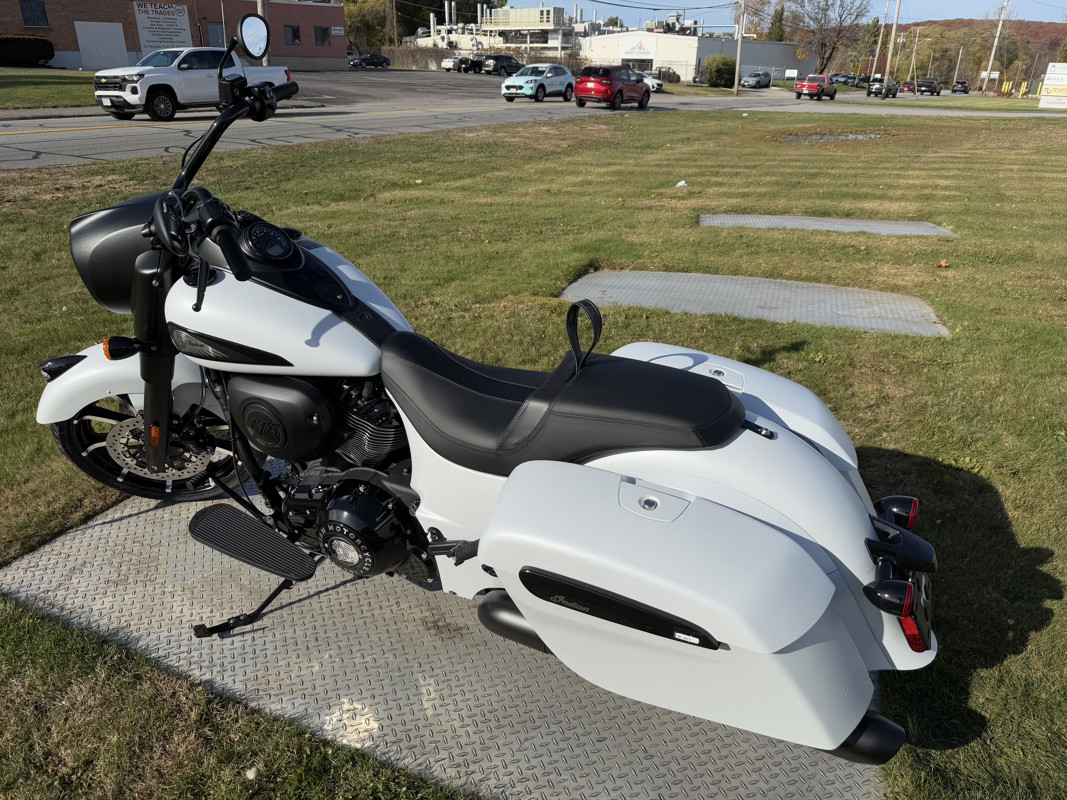 Springfield Dark Horse