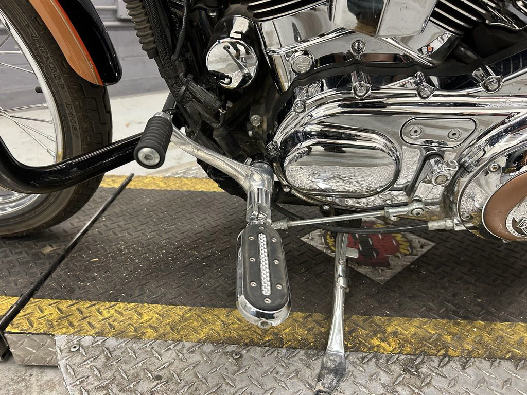 Sportster® 1200 Custom Anniversary