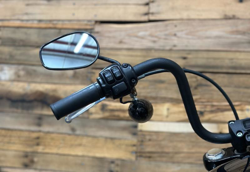 Softail® Street Bob®