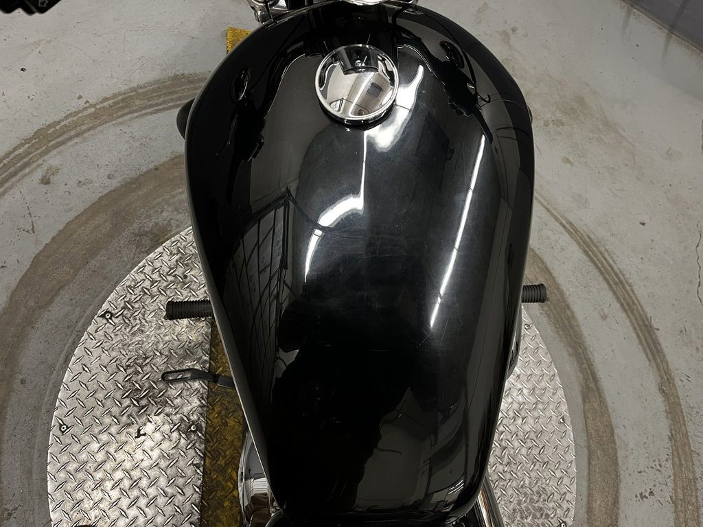 Sportster® 1200 Custom