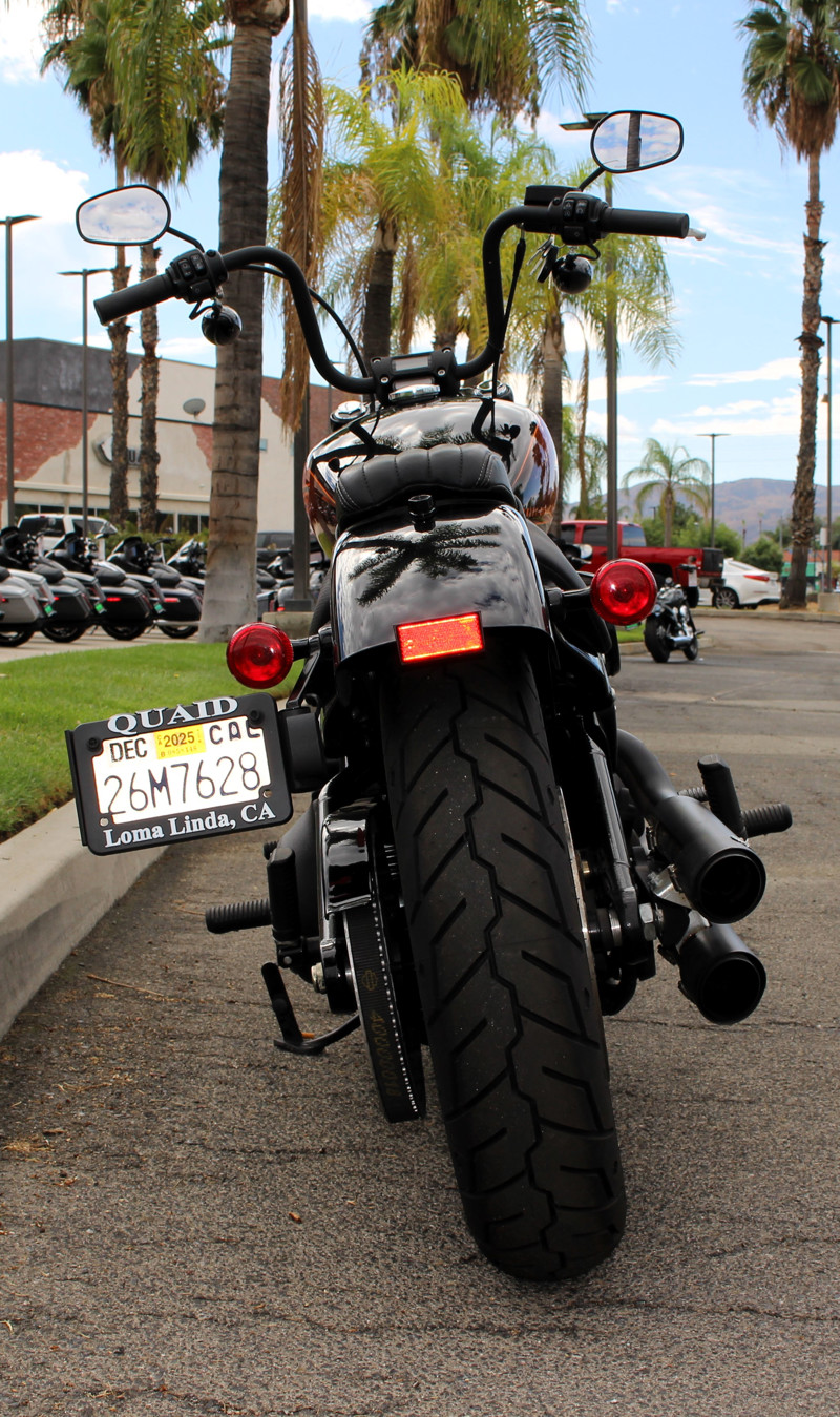 Street Bob® 114