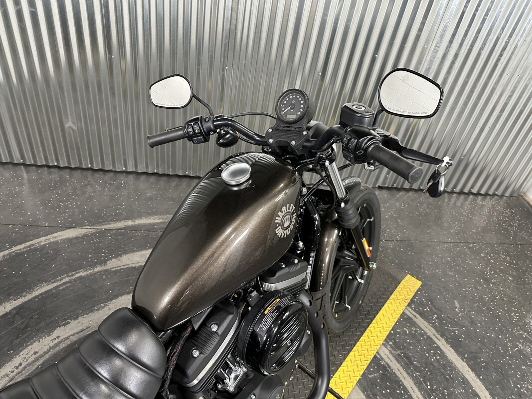 Iron 883®