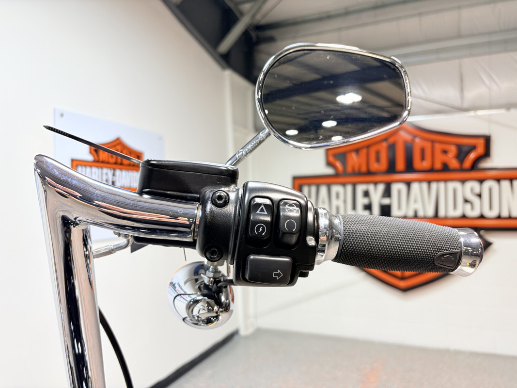 Softail® Standard