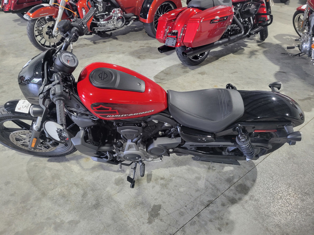 Nightster