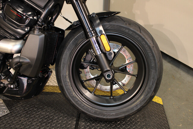 Sportster® S