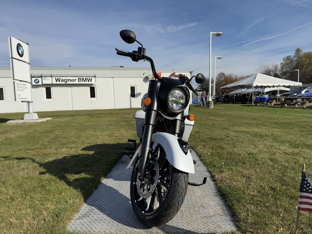 Springfield Dark Horse