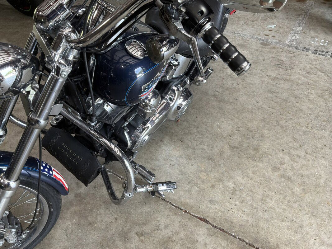 Softail® Custom
