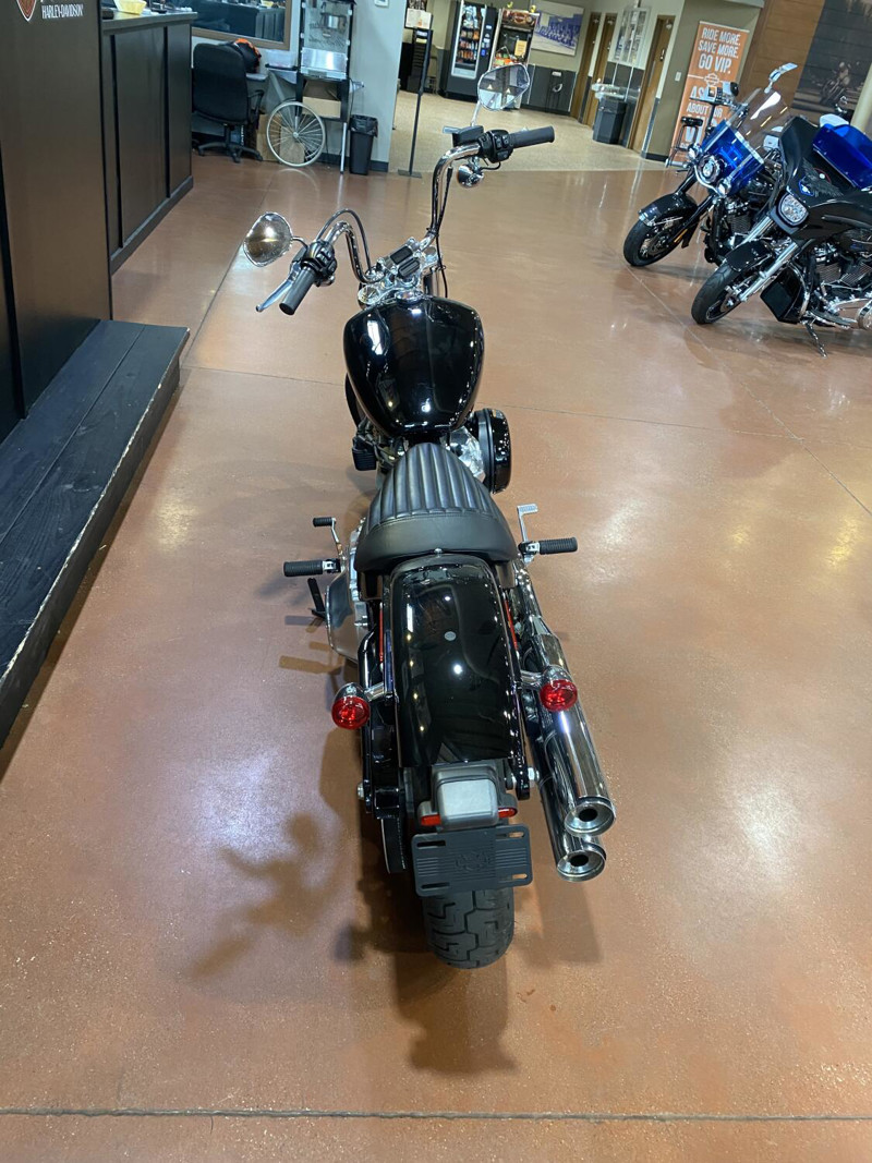 Softail® Standard