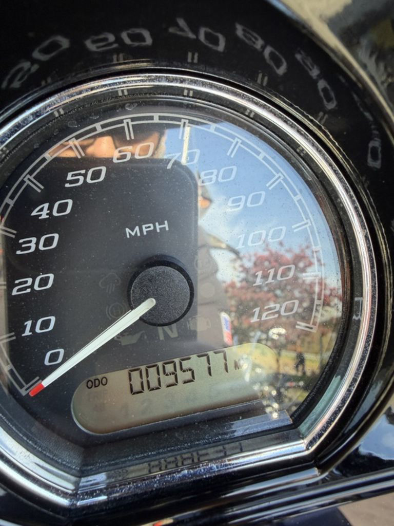 Street Glide® Special