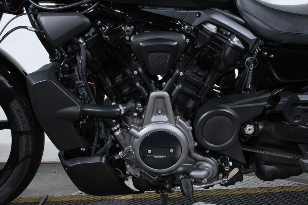 Nightster