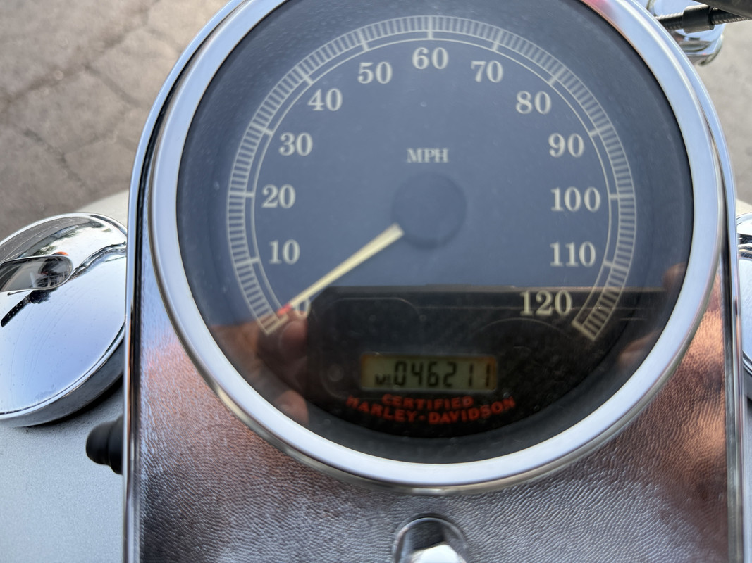 Softail® Standard