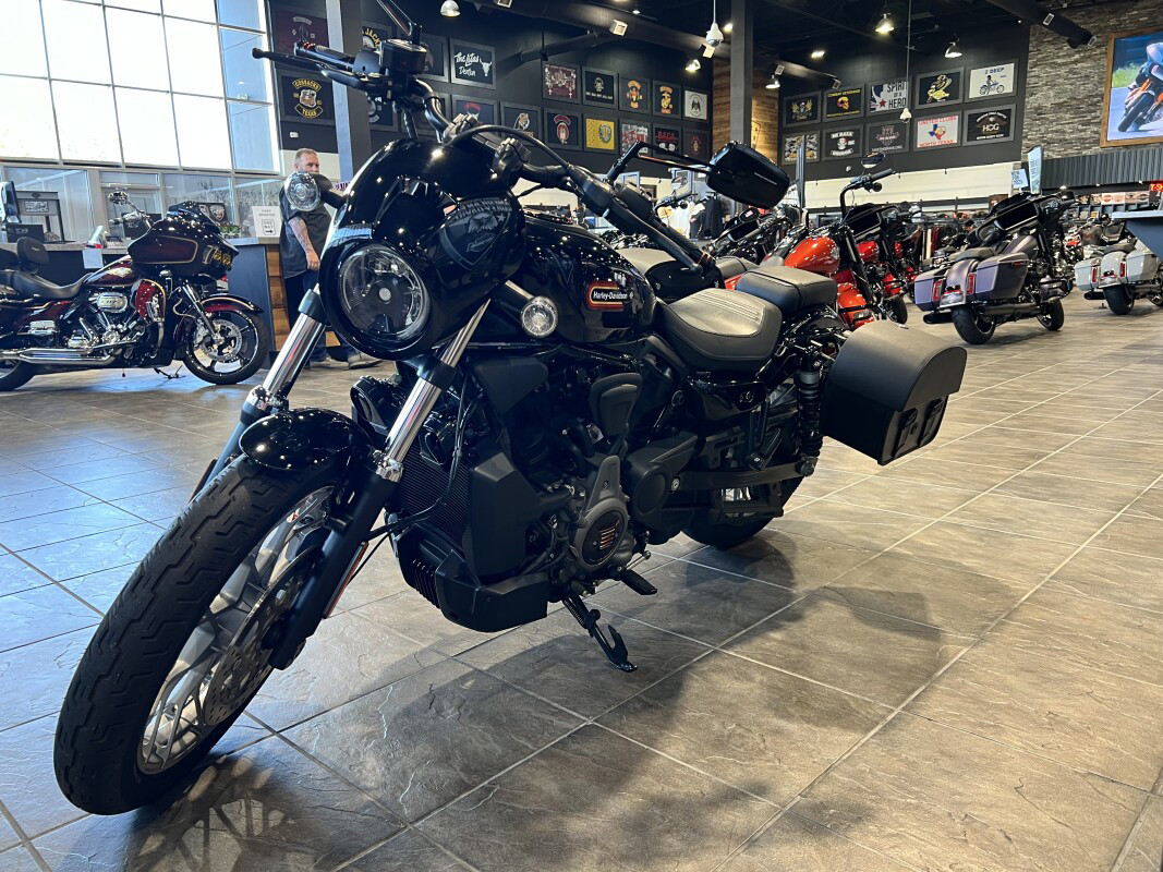 Nightster Special