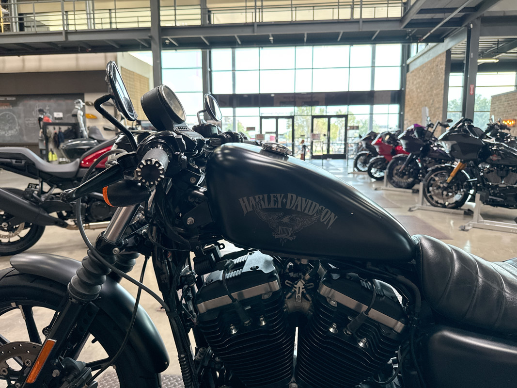 Sportster® Iron 883®